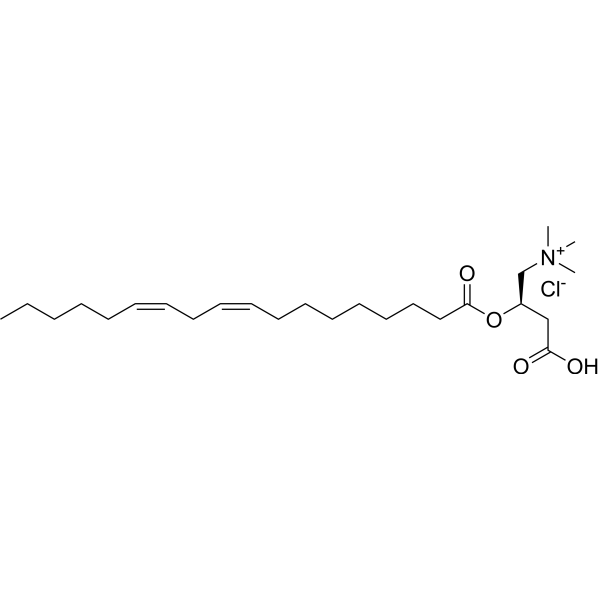 Linoleoyl-L-carnitine chloride 173686-75-4